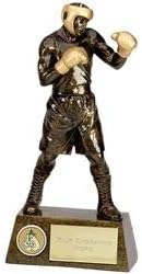 Personalised Engraved Pinnacle Boxing 7 1/4 Inch (18.5cm)