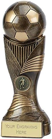 Personalised Engraved Football Trophy Award